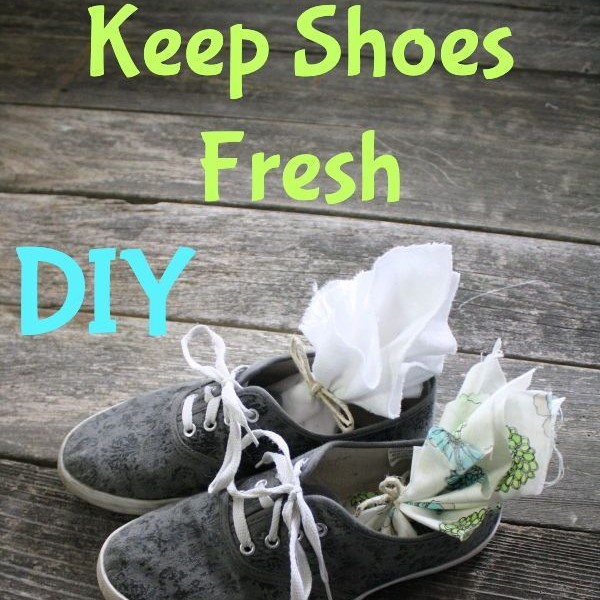 what to put in shoes for smell