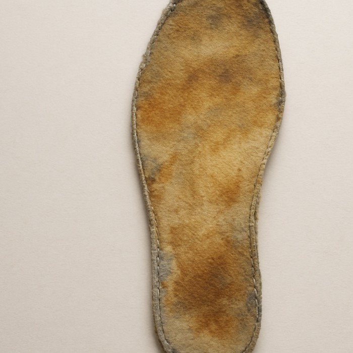 how to clean insoles of shoes