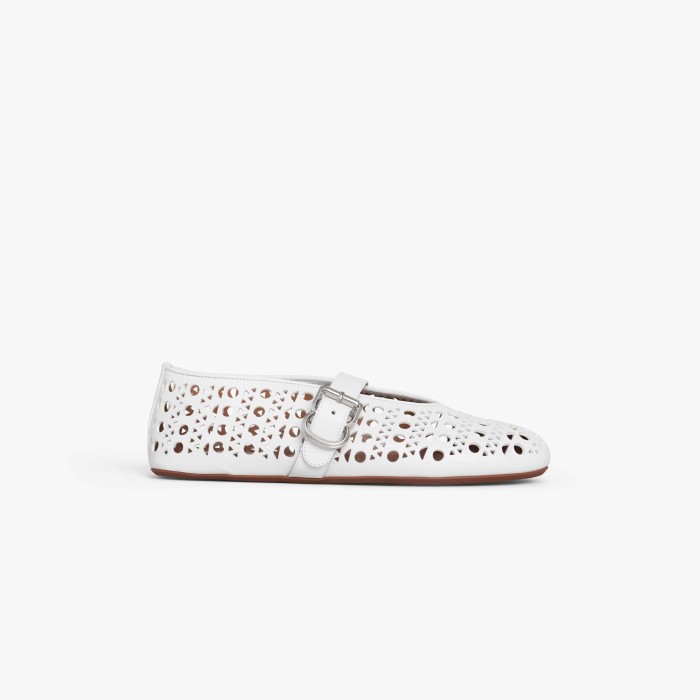 flat ballet shoes
