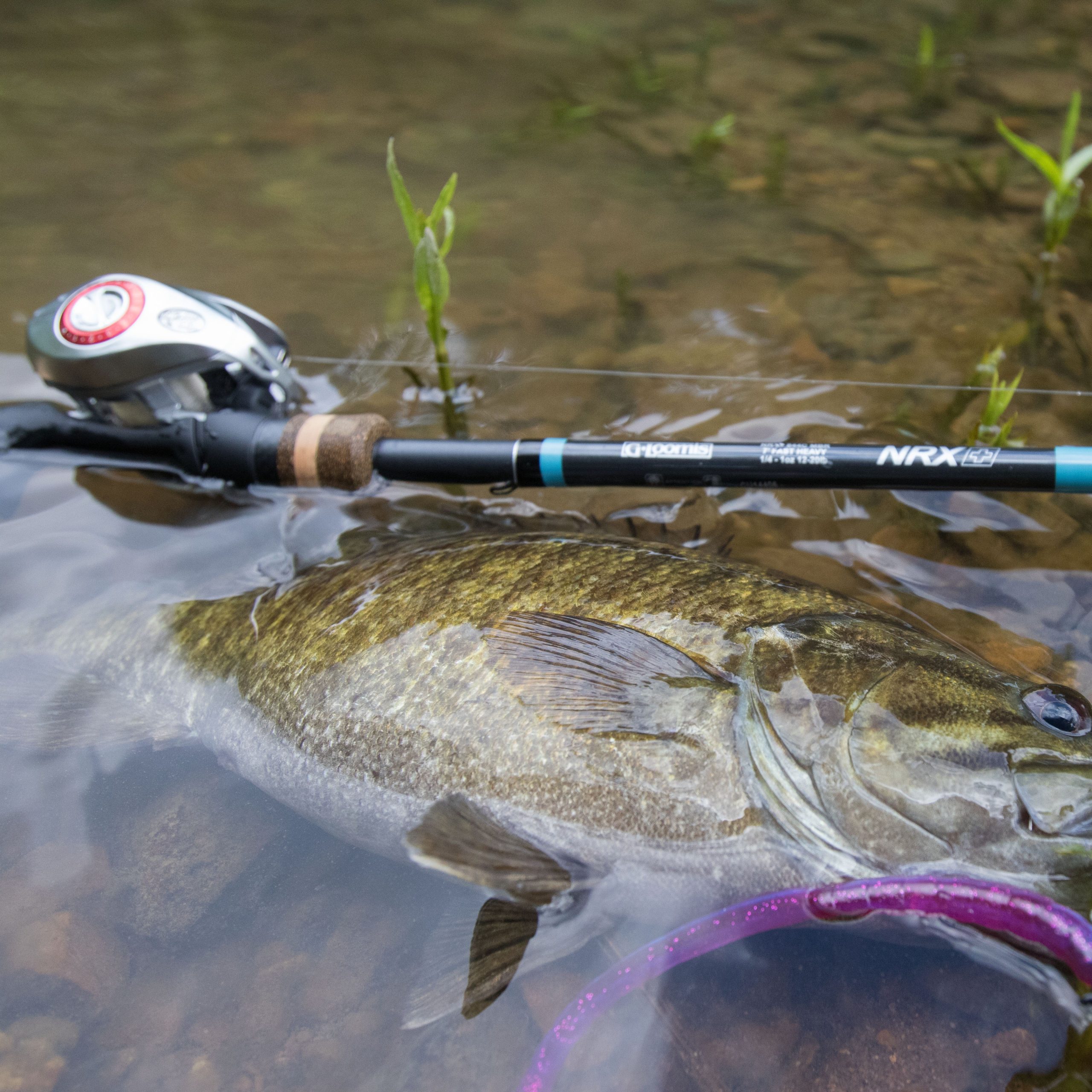 best fishing rod brands